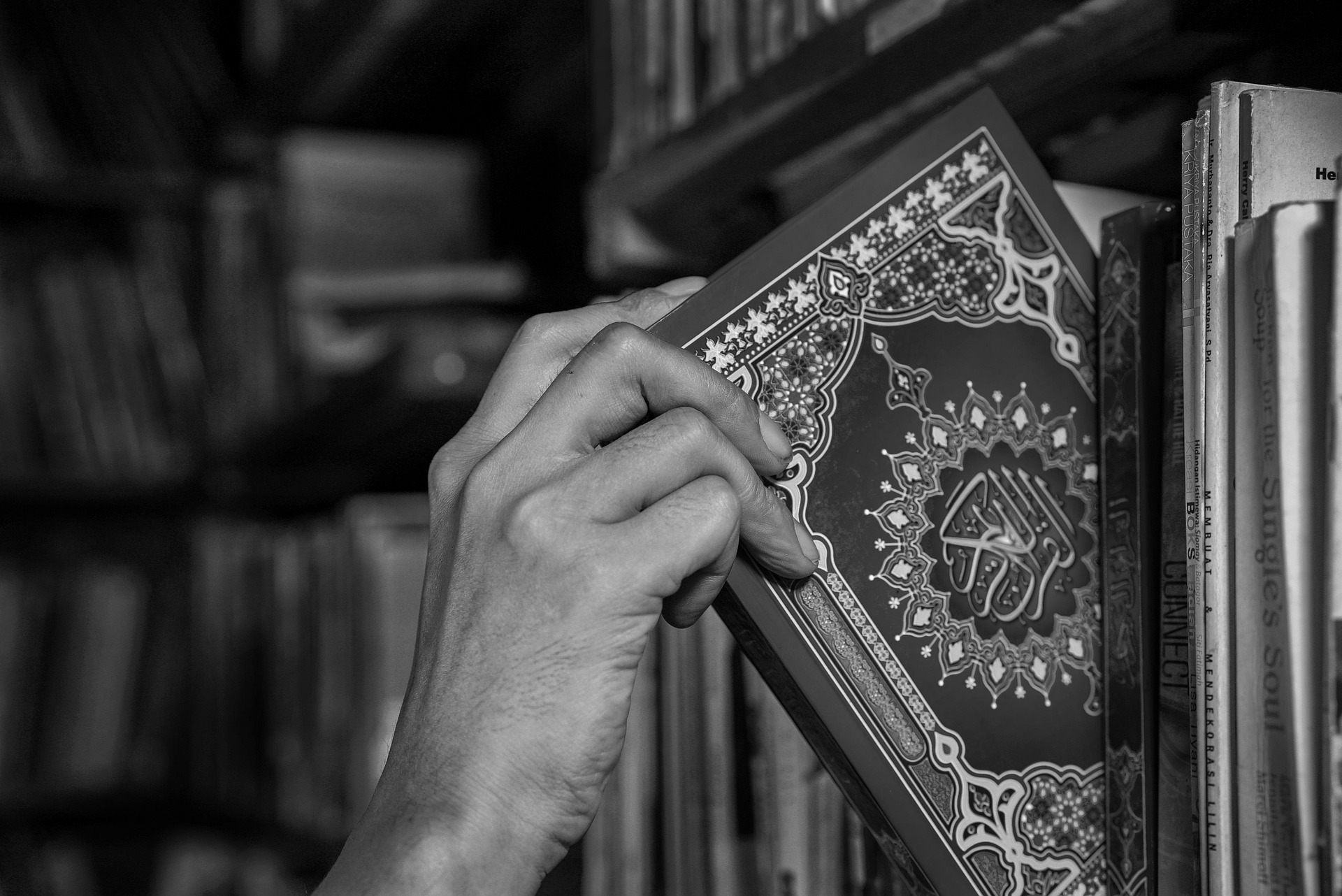 How to Learn Arabic Language